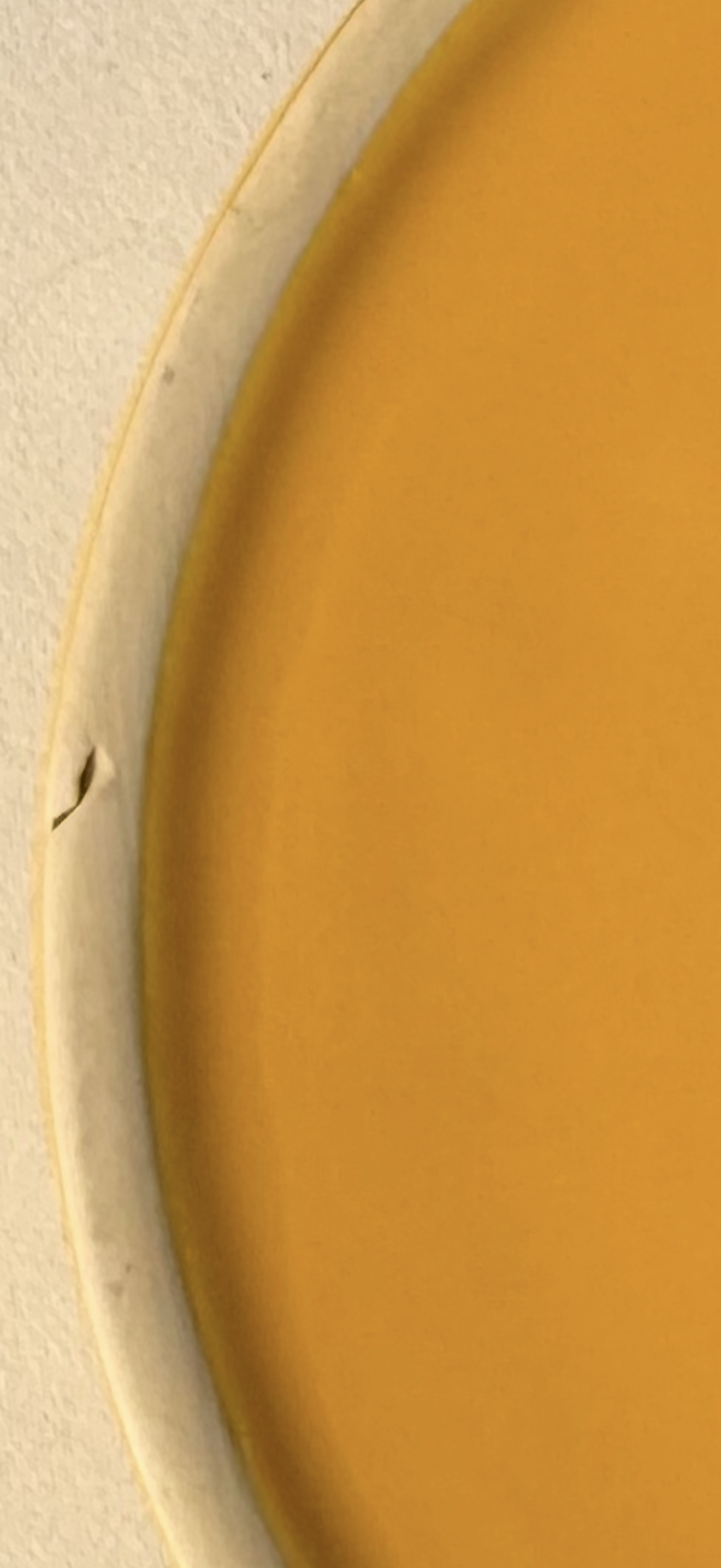 Parini Yellow Stoneware Tortilla Warmer